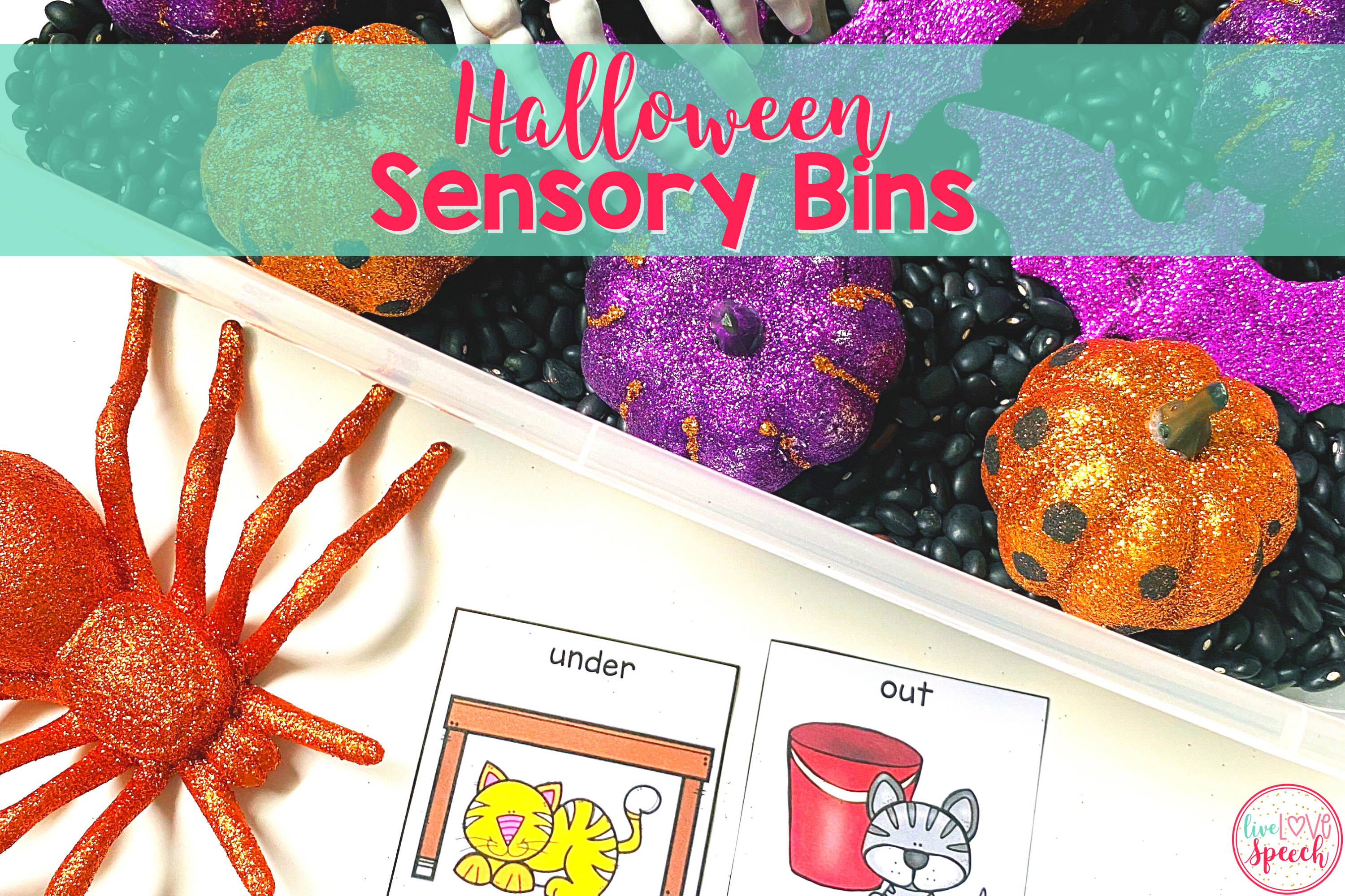 Sensory Bins on a Budget - Dollar Store Edition! - Supports for Special  Students