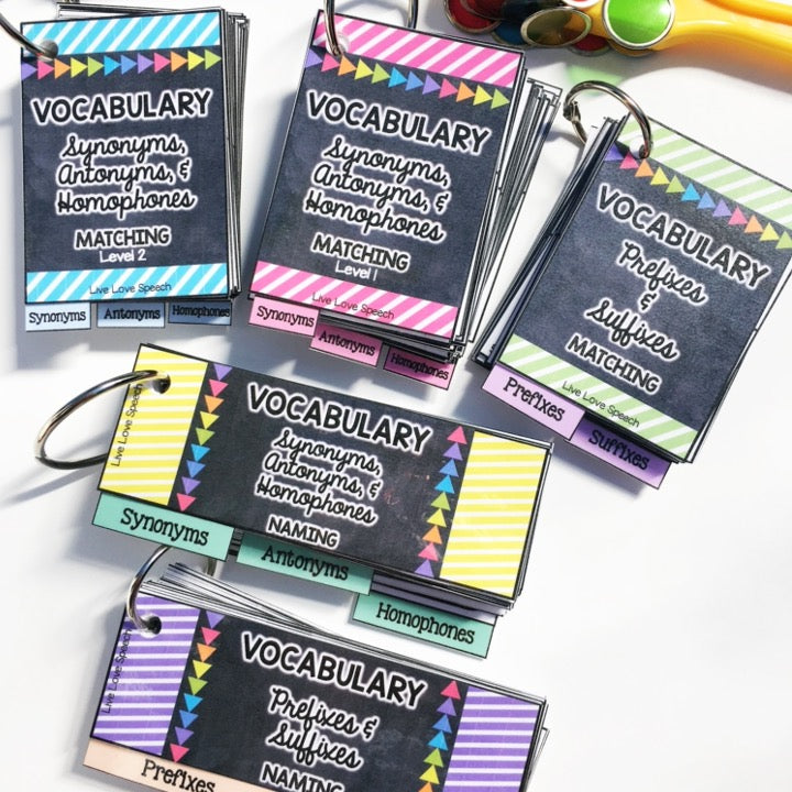 Grab N' Go Vocabulary | Leveled & Common Core Aligned | Speech Therapy
