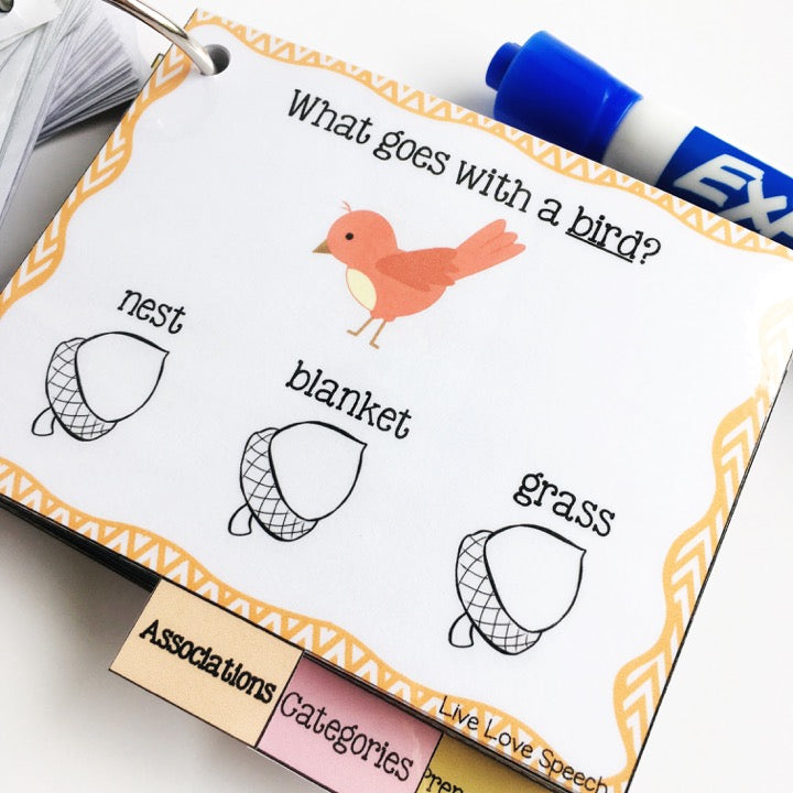 Grab N' Go Seasons BUNDLE | Speech & Language Therapy