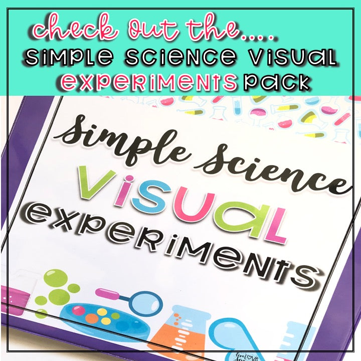 Simple Science VISUAL Experiment: Snowstorm in a Jar | FREEBIE | Speech Therapy