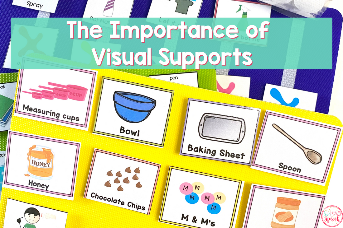 THE IMPORTANCE OF VISUAL SUPPORTS
