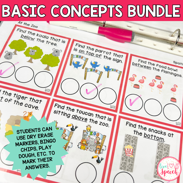 Grab and Go Basic Concepts BUNDLE | THEMED + EVERYDAY CARDS INCLUDED!