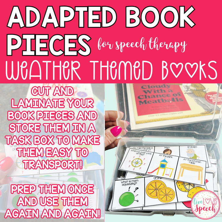 Weather Adapted Book Pieces for Speech Therapy | Special Education