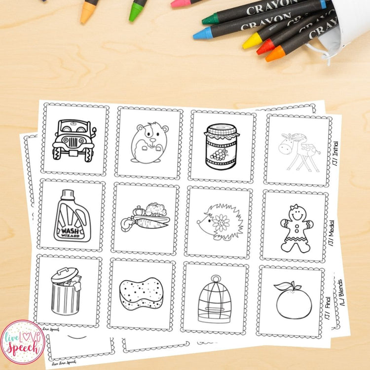 Grab N' Go Later Developing Sounds | Articulation Cards | Speech Therapy